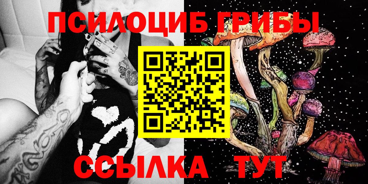 Сыктывкар  Псилоцибиновые грибы Psilocybine cubensis  Вход с VPN 