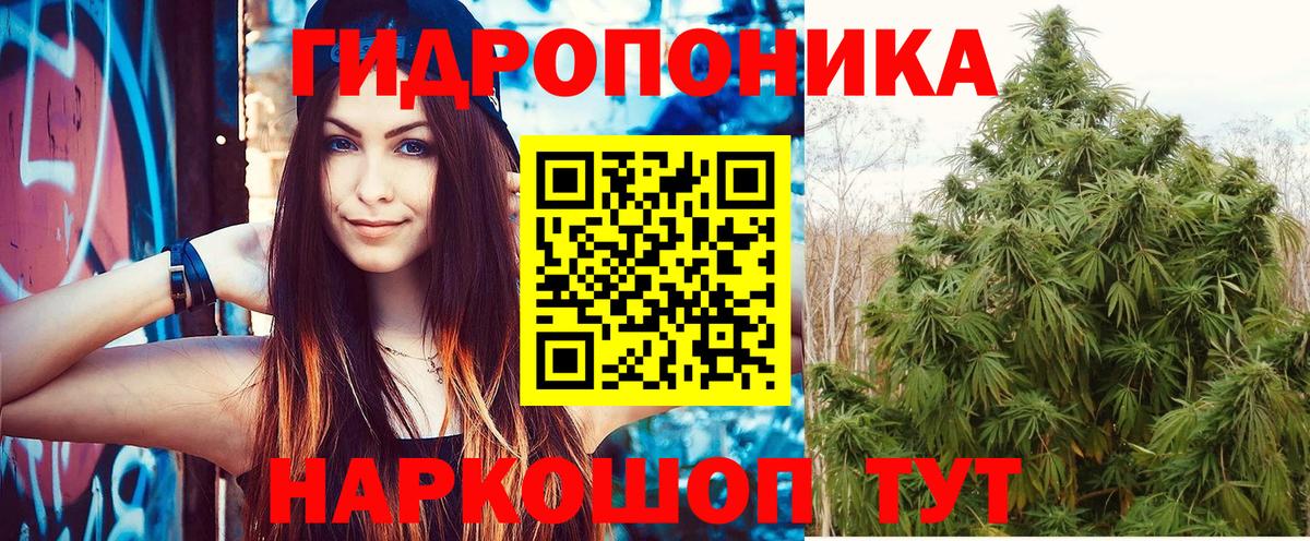Каннабис Ganja  Каннабис план  Сыктывкар  Вход с VPN 